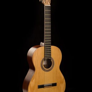 گیتار آگرین 200 مدل 1