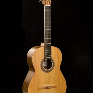 گیتار آگرین 200 مدل 3