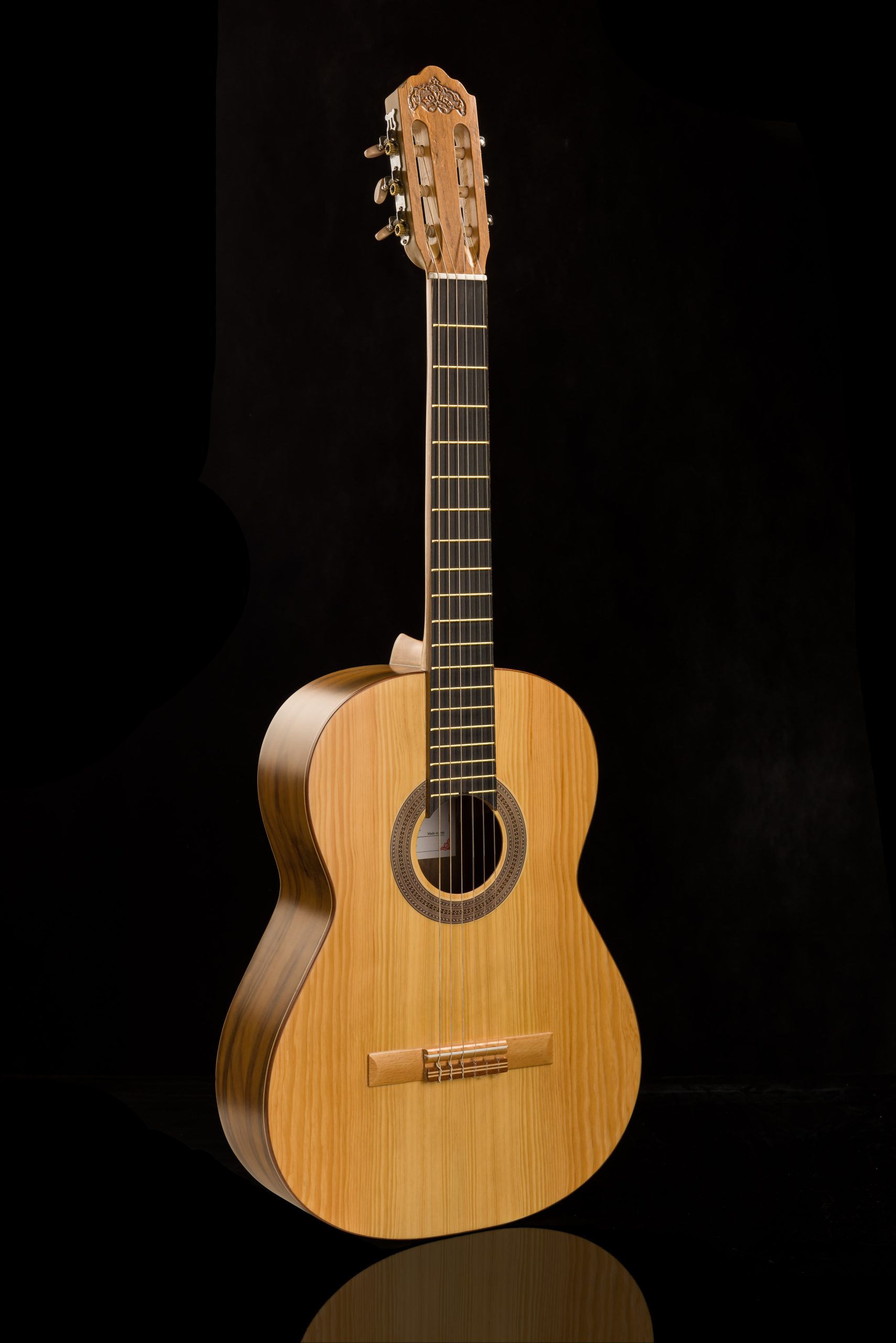 گیتار آگرین 200 مدل 3