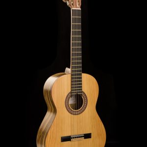 گیتار آگرین 200 مدل 2