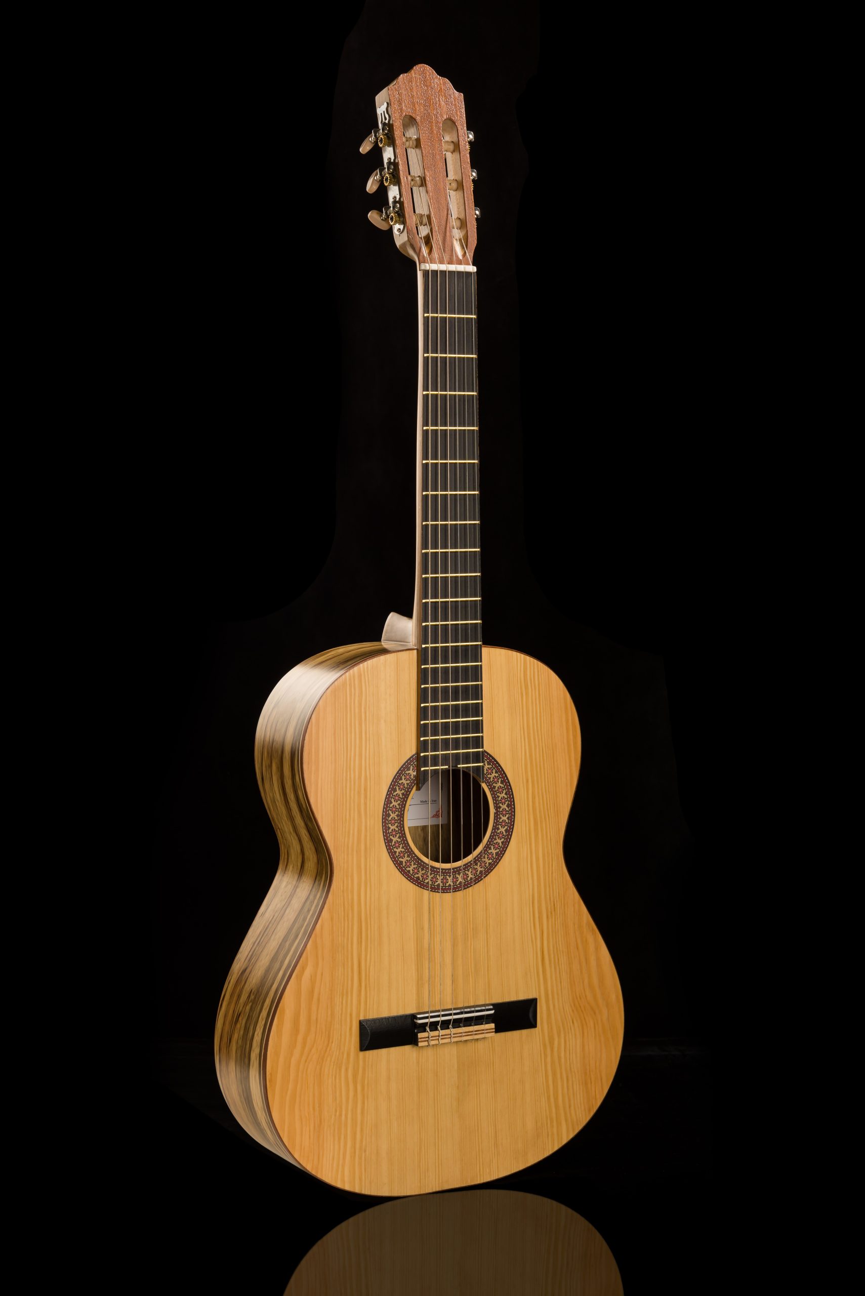 گیتار آگرین 200 مدل 2