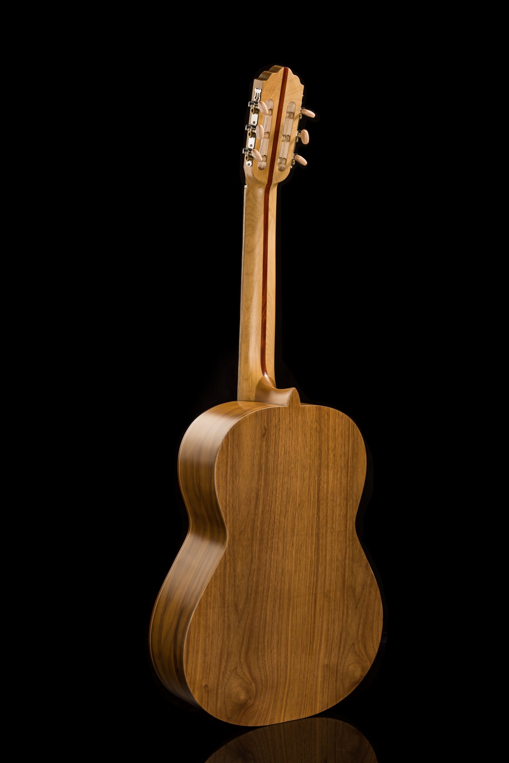 گیتار آگرین 200 مدل 3