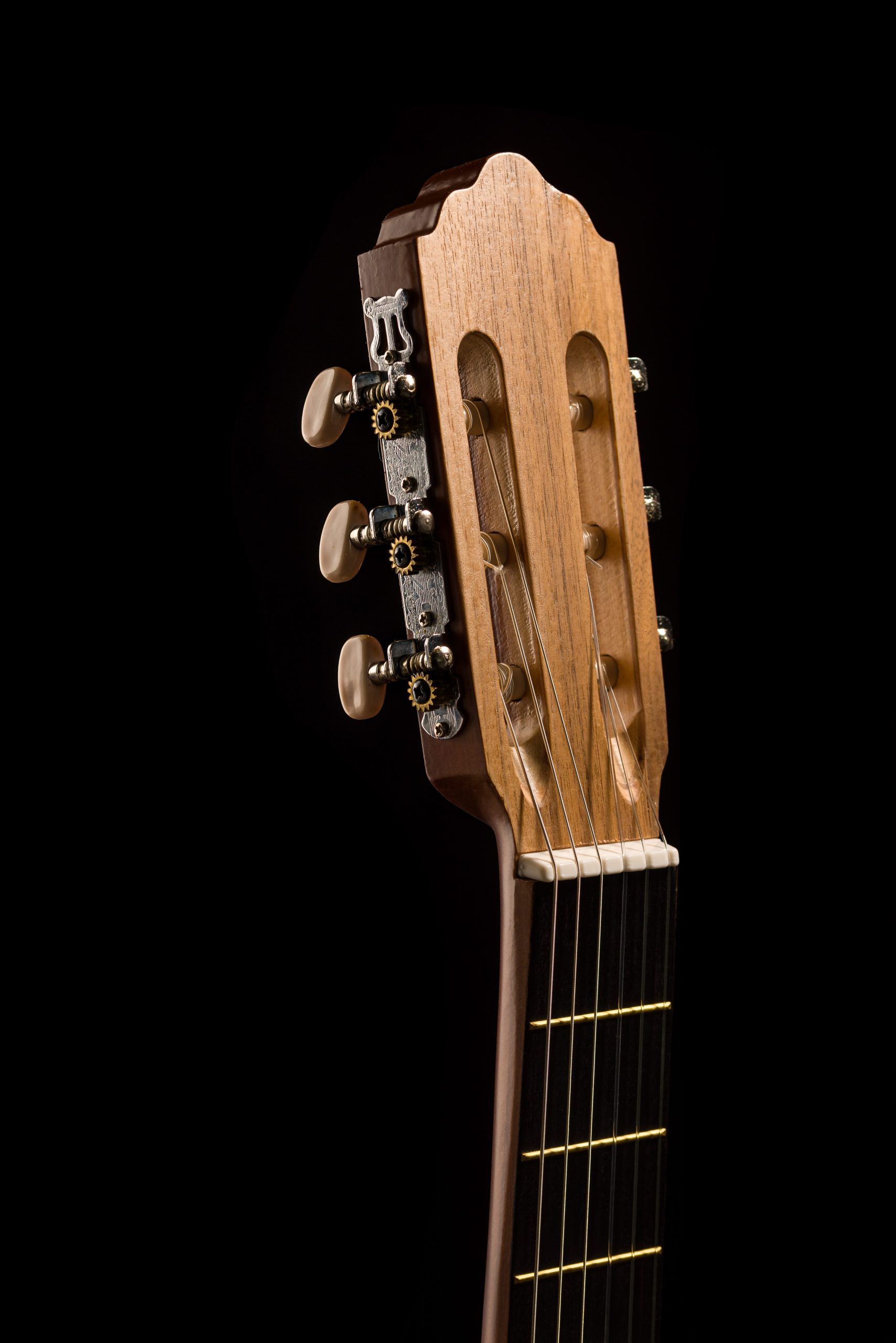 گیتار آگرین 200 مدل 3