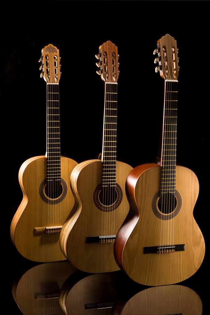 گیتار ایرانی آگرین