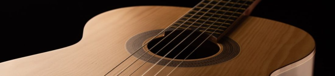 گیتار آگرین