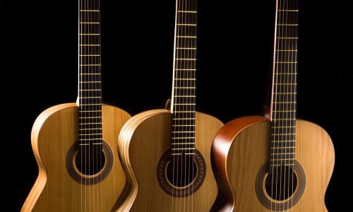 گیتار ایرانی آگرین